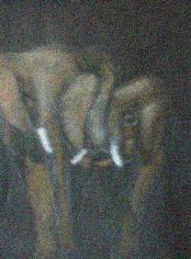 wpa2f99a98.png